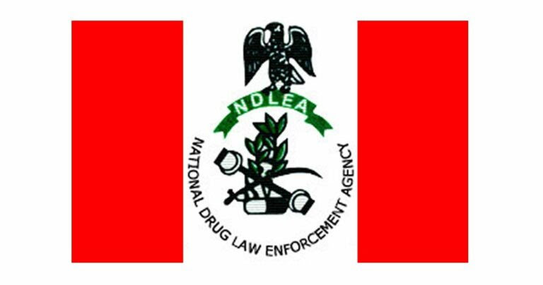 NDLEA Arrests Drug Kingpins as Suspects Excrete 125…