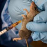 “Lassa Fever Death Toll Reaches 53, NCDC Tracks 191 Suspected Cases”