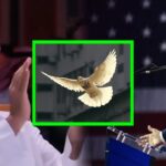 President Trump is resetting the global order.