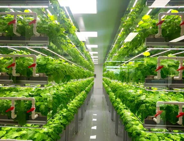 The most efficient way of farming in a…