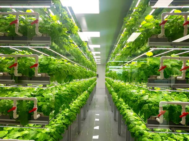 The most efficient way of farming in a…